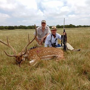 Axis Deer Hunting Argentina