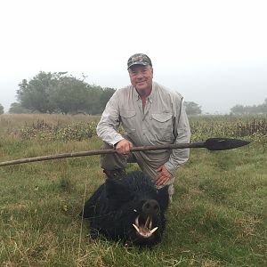 Argentina Spear Hunt Wild Boar