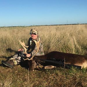 Fallow Deer Hunt Argentina