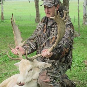 Argentina Hunting Fallow Deer