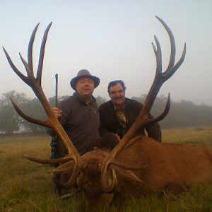 Red Stag Hunt Argentina