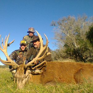 Argentina Hunting Red Stag