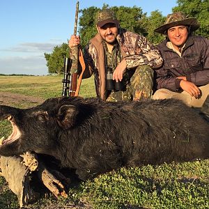 Argentina Hunt Wild Boar