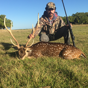 Hunting Axis Deer in Argentina