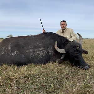 Hunting Water Buffalo in Argentina