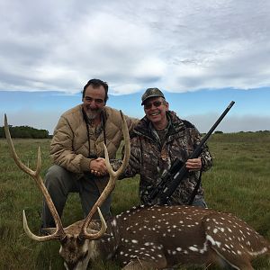 Hunt Axis Deer in Argentina