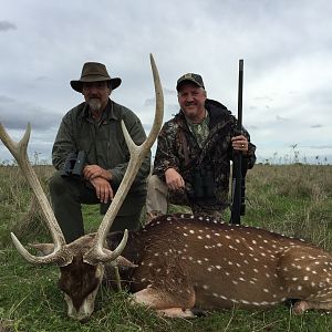 Axis Deer Hunt Argentina