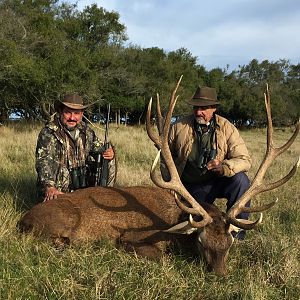 Red Stag Hunting Argentina