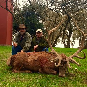 Hunt Red Stag in Argentina