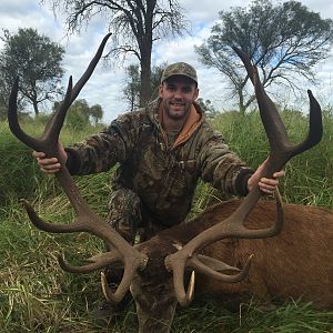 Red Stag Hunting Argentina