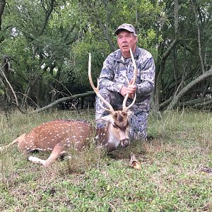 Hunt Axis Deer in Argentina