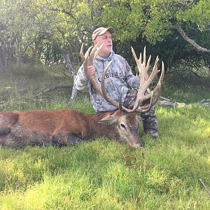 Red Stag Hunting Argentina