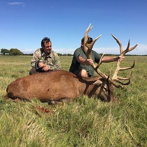Hunt Red Stag in Argentina