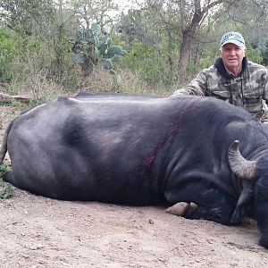 Hunting Water Buffalo in Argentina