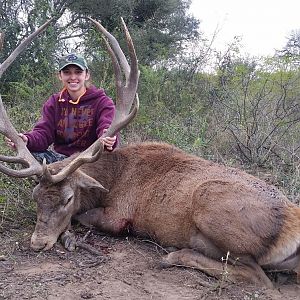 Red Stag Hunting Argentina