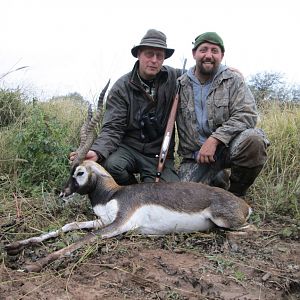 Hunt Blackbuck in Argentina