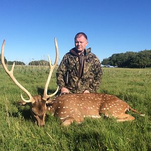 Axis Deer Hunting Argentina