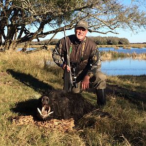 Argentina Hunt Wild Boar