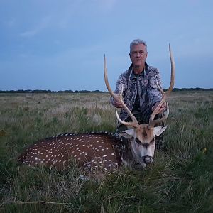 Axis Deer Hunt Argentina