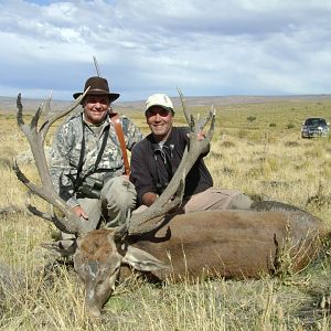 Argentina Hunt Red Stag