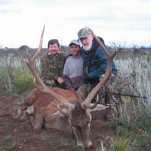 Argentina Hunt Red Stag