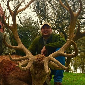 Argentina Hunting Red Stag