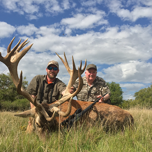 Hunt Red Stag in Argentina