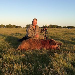 Argentina Bow Hunt Wild Boar