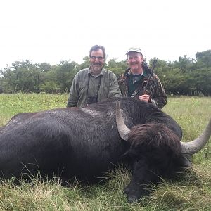 Water Buffalo Hunt Argentina