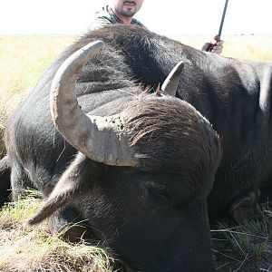 Argentina Hunting Water Buffalo