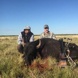 Bow Hunt Water Buffalo in Argentina