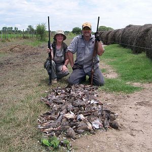 Hunting Doves in Argentina