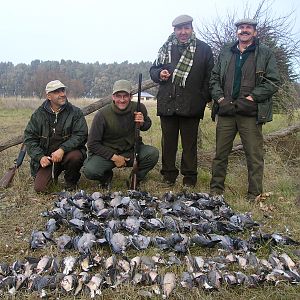 Argentina Pigeon & Dove Hunt