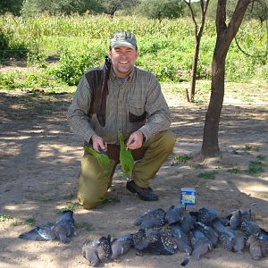 Pigeon Hunt Argentina