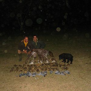 Rabbit, Partdrige & Dove Hunt Argentina