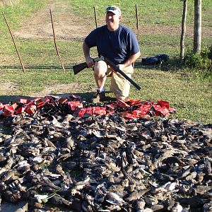 Dove Hunting Argentina