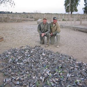 Dove Hunting Argentina