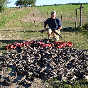 Dove Hunt Argentina