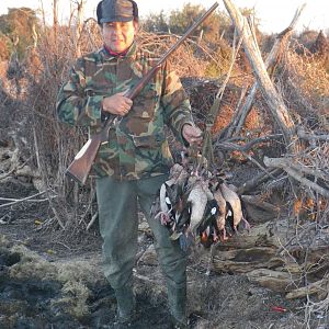 Argentina Hunt Duck