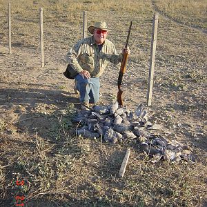 Argentina Hunt Pigeon