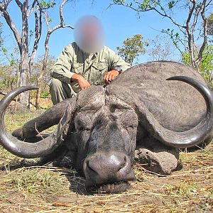 44 inch Buffalo