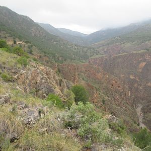 Hunting Ibex in Spain