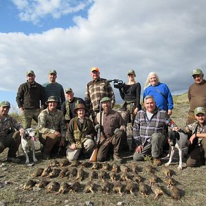 Red Leg Partridges Hunting Spain