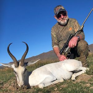 white springbok 2019 RSA