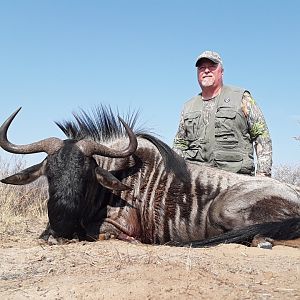 Blue Wildebeest Hunting Botswana