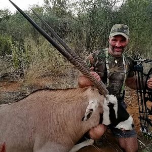 Gemsbok