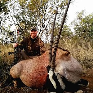 Gemsbok