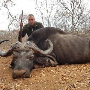 Buffalo Hunt Zimbabwe