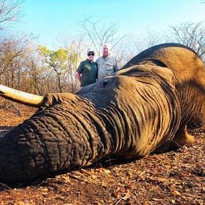 Zimbabwe Hunting Elephant