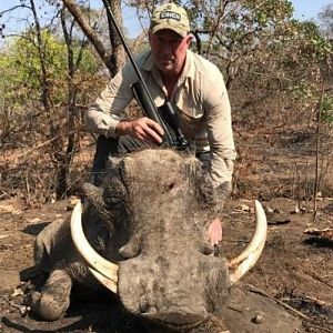 Zimbabwe Hunt Warthog